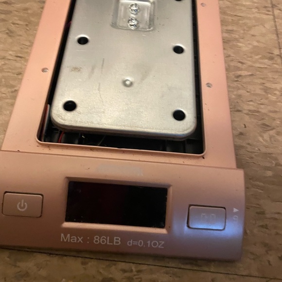 Small pink scale - Picture 6 of 7
